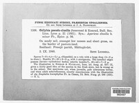 Gamundia striatula image